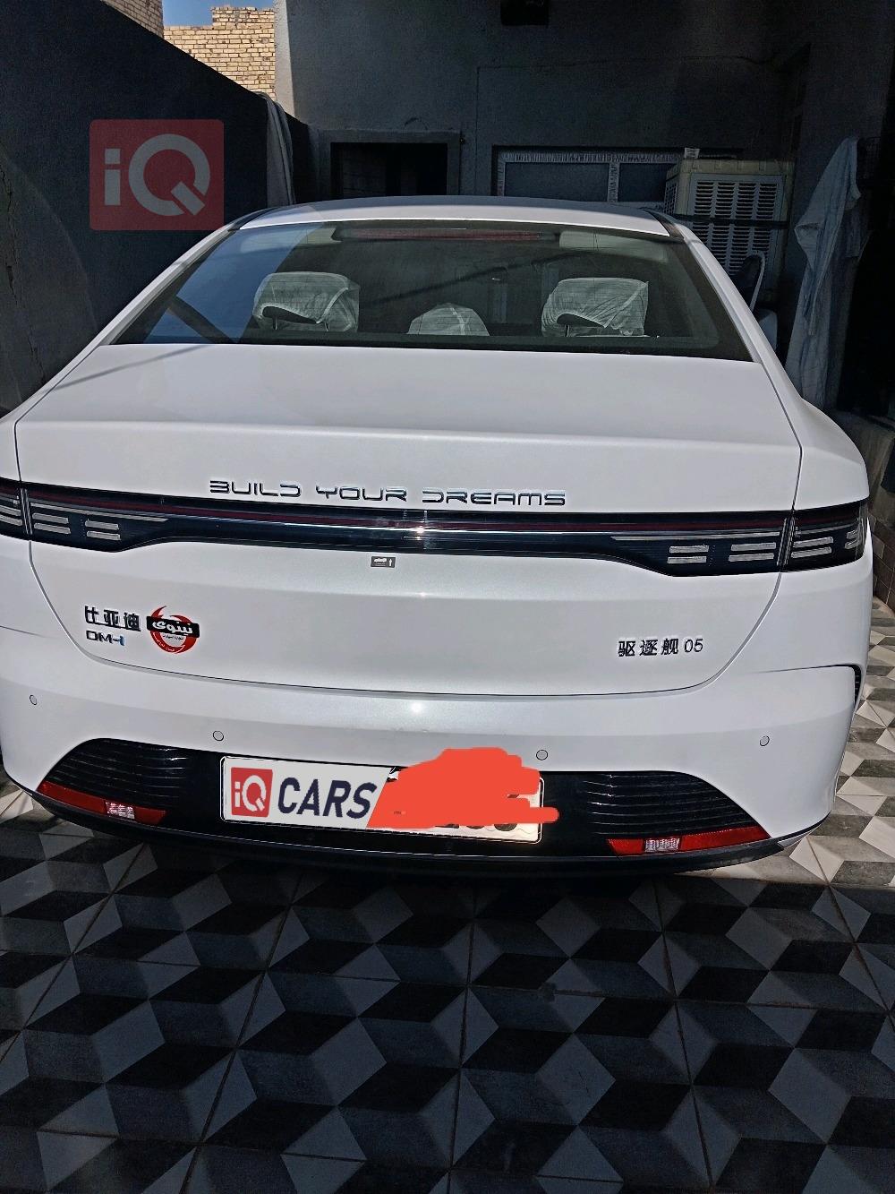 بي واي دي ديستروير 05